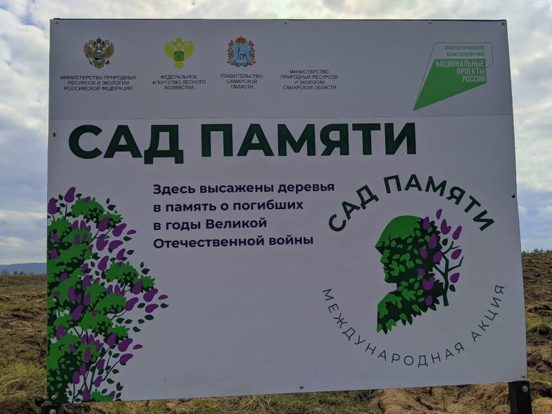 Для будущих поколений: в Самарской области посадили лес в память о погибших соотечественниках