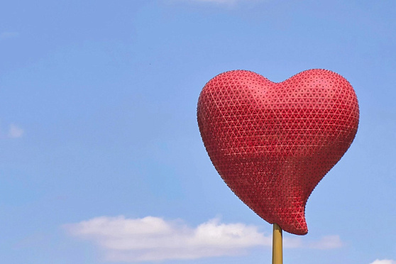 День сердца. Такое утро