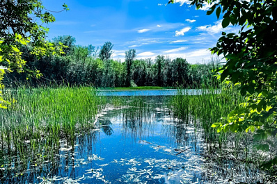 По тропам в горы: популярные туристические маршруты Самарской Луки