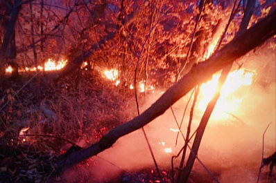 В Безенчукском районе сгорело 1000 "квадратов" травяного покрова