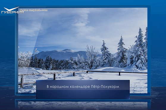 Петр Полукорм. Календарь Губернии от 29 января