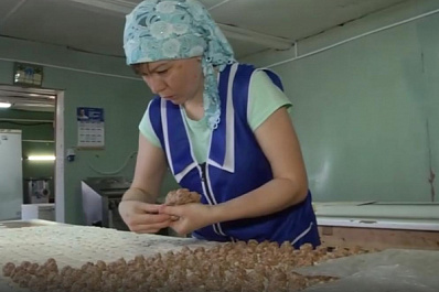 Соцконтракт помог многодетной семье открыть производство пельменей в Камышлинском районе