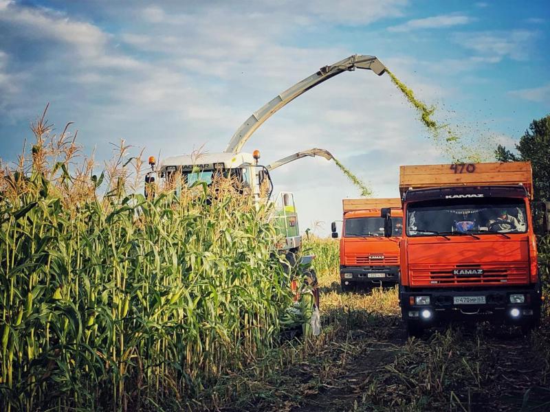 "Единая Россия" проработает с Правительством меры по обеспечению продовольственной безопасности