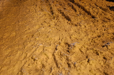 Тольяттинцев просят в ночь на 21 января убрать автомобили с улиц 