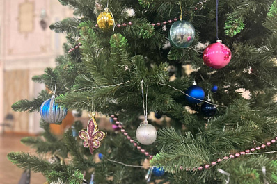 Эксперты советуют выбирать елки с гибкими ветвями и прочной хвоей