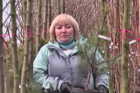 Дачные советы 28.03.2013 