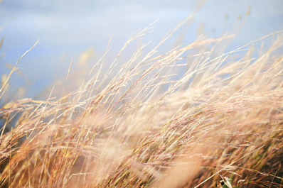 Гроза, ливень, град и шквал: на Самарскую область 22 июля надвигается шторм