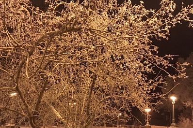 Штормовое предупреждение из-за изморози и гололеда в Самарской области продлили на сутки