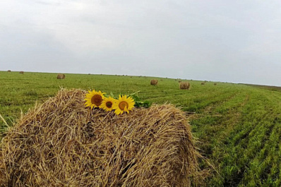 Народные приметы на 11 октября 2024 года: что нельзя делать в этот день