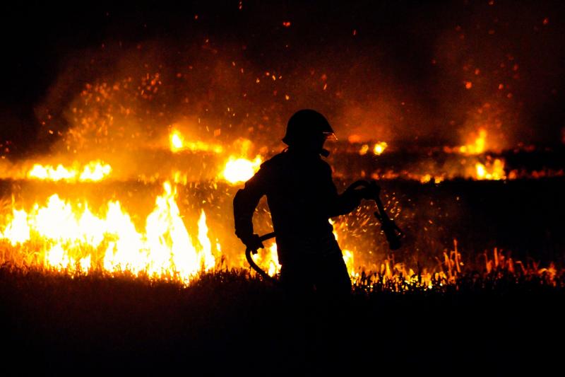 В Самарской области продлили режим чрезвычайной пожароопасности лесов