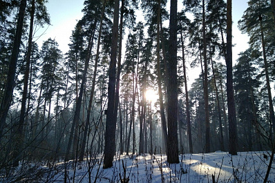 Антлантический циклон несёт в Самарскую область потепление и снег