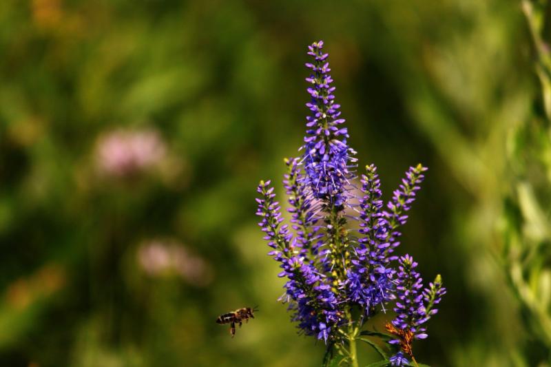 Народные приметы на 6 июня 2025 года: что нельзя делать в этот день