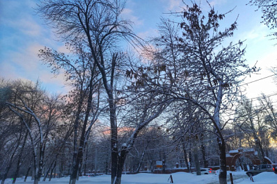 Аномальные холода задержатся в Самарской области до 1 марта