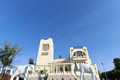 Самарский "Дом со слонами" может войти в новый турмаршут по загородным резиденциям купцов