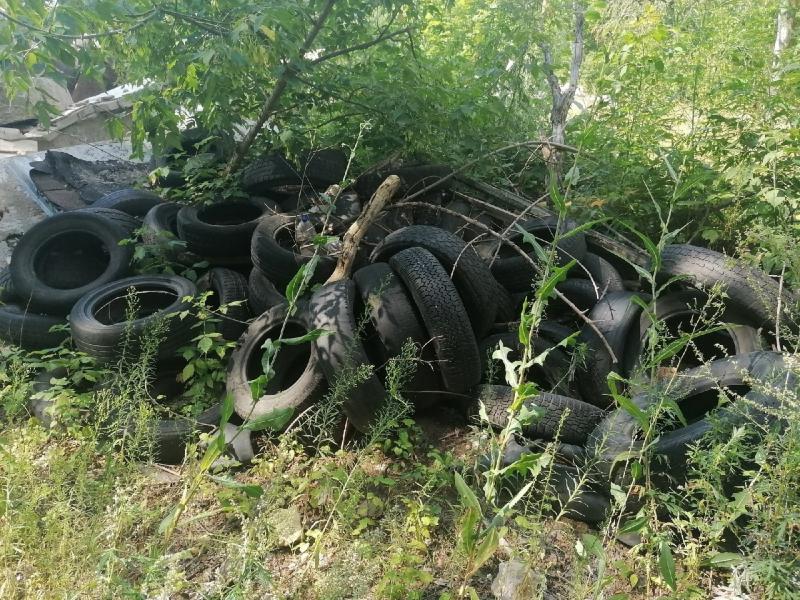 В лесу Тольятти обнаружили несанкционированную свалку автомобильных шин