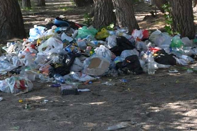 В селах Самарской области ликвидировали еще две свалки