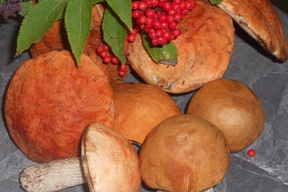 Название статьи