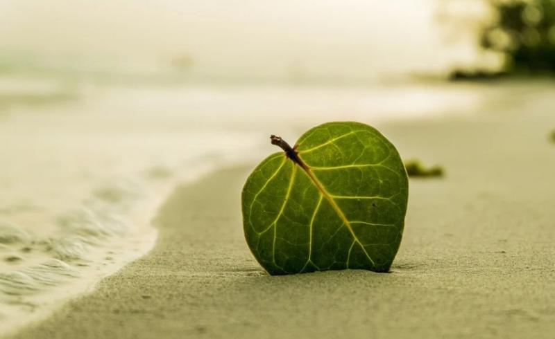 В Самаре с берегов Коровьего острова волонтёры вывезли полтонны мусора