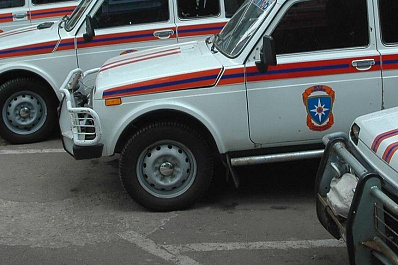 Из Рождествено в Самару эвакуировали девочку, которую искусала собака