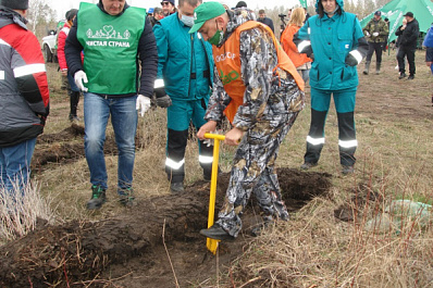 В Тольятти посадили новый участок Леса Памяти