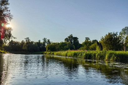 Название статьи