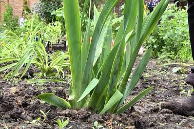 Самарская область представила собственную экспозицию на выставке-форуме «ЭКОТЕХ-2017» в Москве