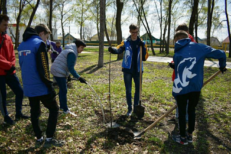 Накануне 9 мая 120 молодых деревьев украсили Парк Победы в Кинеле