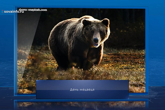 День медведя. Календарь Губернии от 13 декабря