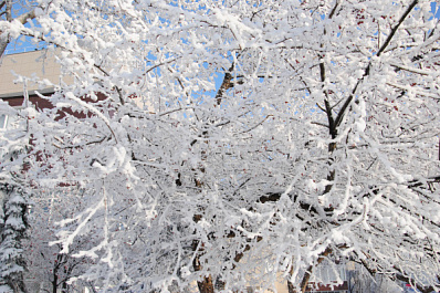 Новое предупреждение жителям региона поступило от синоптиков 