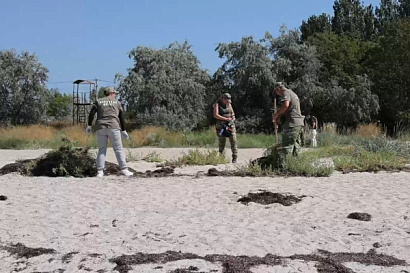 Название статьи