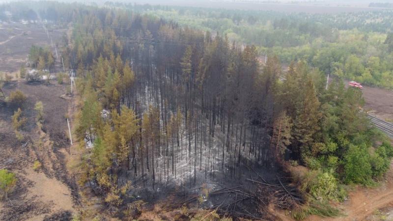 Пострадавшим от лесных пожаров в Самарской области предусмотрено 30 млн рублей на восстановление жилья