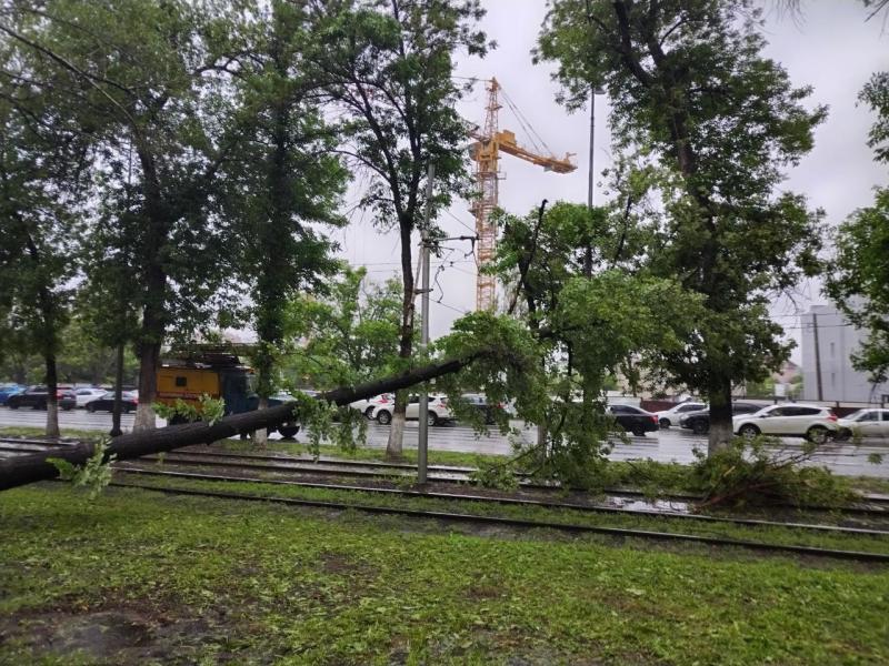 В Самаре штормовой ветер 20 мая повалил 34 дерева