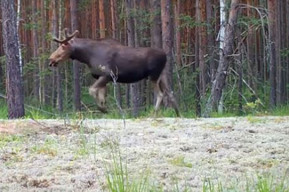 Название статьи