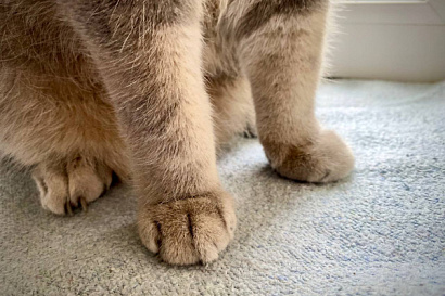 Название статьи