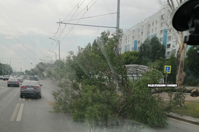 Началось: в Самаре из-за ухудшения погоды падают деревья