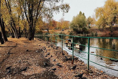 Ноябрь встретит жителей Самарской области снегом и дождем