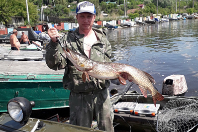 Рыбак из Сызрани вытащил из Волги гигантскую щуку