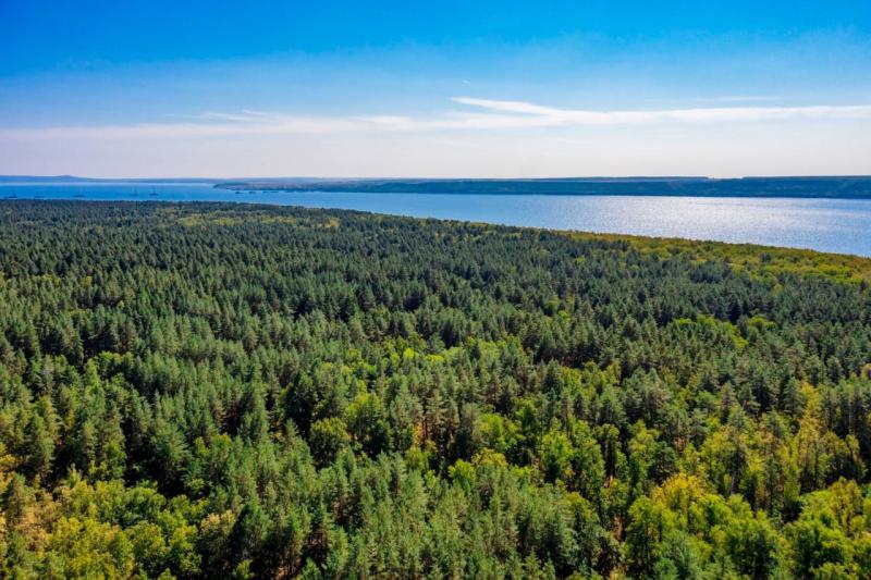 В Самарской области из воды достали тела четырех утопленников за три дня