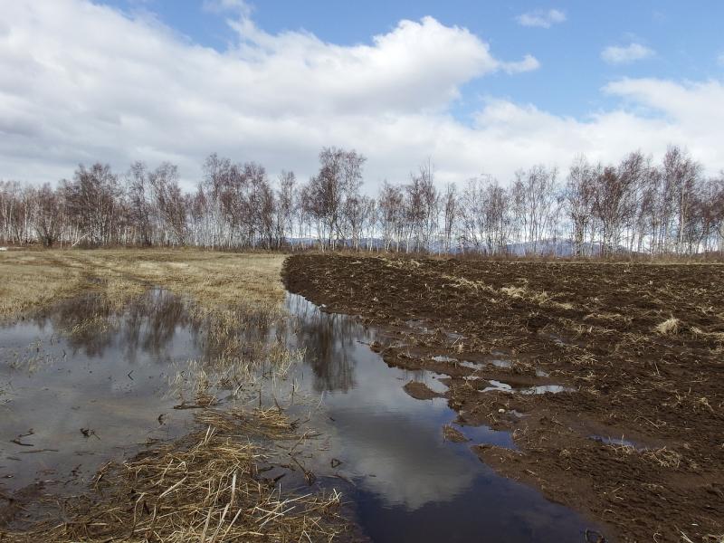 Жителям Красного Яра помогли спасти дома от талых вод