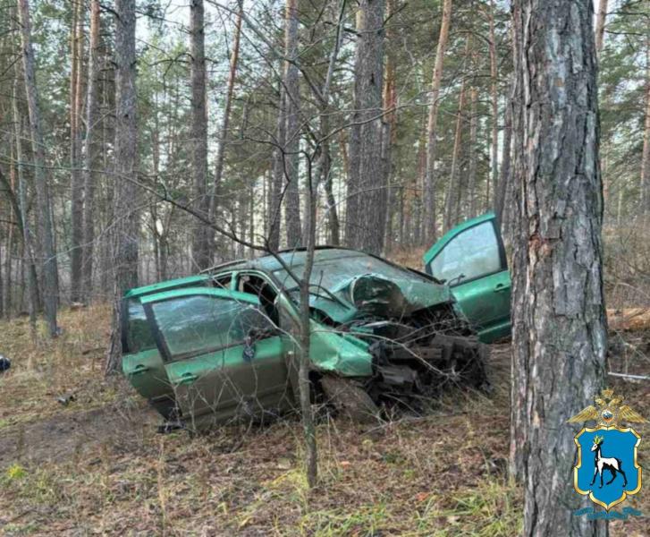 В Тольятти 20 ноября женщина погибла при столкновении иномарки с деревом