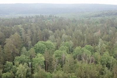 В Самарской области теплоэнергетики высадили тысячи саженцев и сеянцев молодых деревьев