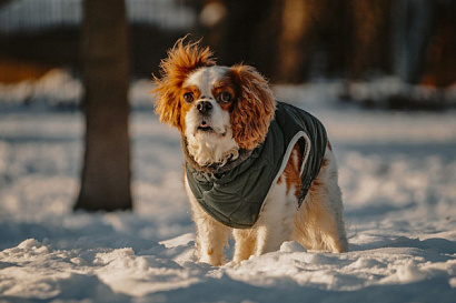 Название статьи