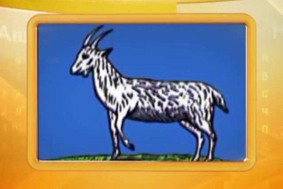 Календарь губернии 08.10.2013 