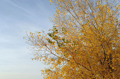 В Самарской области 12 октября будет солнечно, но холодно 