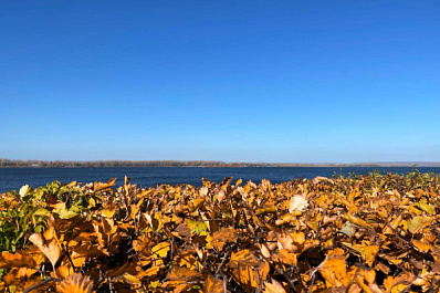 В Самарской области 15 ноября дожди сделают паузу