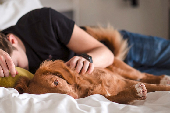 День беззаботности. Такое утро