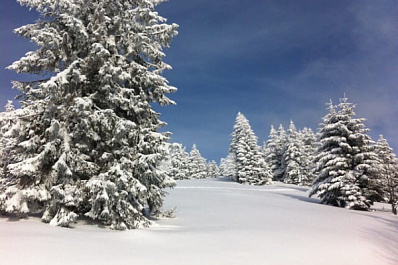 Самарскую область ждут морозные выходные