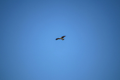 Народные приметы на 26 августа 2025 года: что нельзя делать в этот день