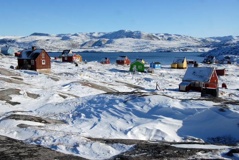 В Гренландии найдены древние растения подо льдом на глубине 1,5 километра