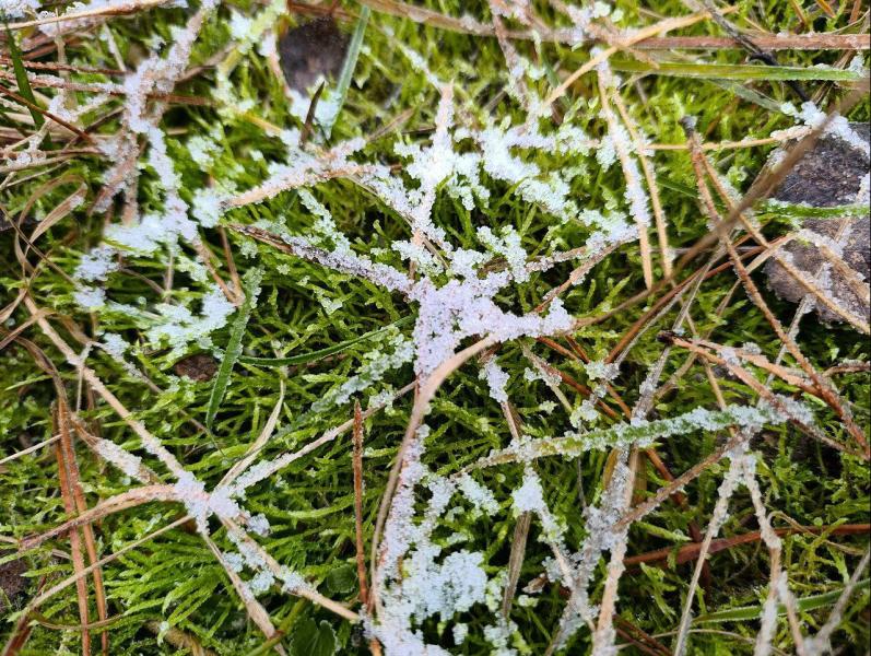 Народные приметы на 29 ноября 2025 года: что нельзя делать в этот день